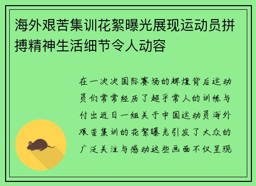海外艰苦集训花絮曝光展现运动员拼搏精神生活细节令人动容 海外艰苦集训花絮曝光展现运动员拼搏精神生活细节令人动容